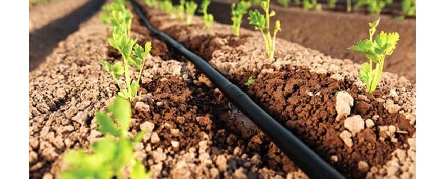 Gestion Intégrée des Ressources en Eau (GIRE)