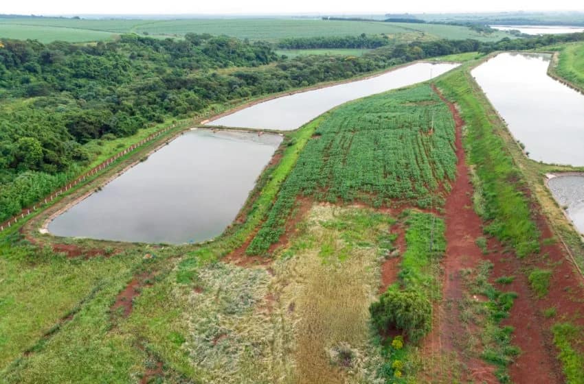 Gestion des eaux pluviales